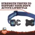 Arcadia Trail® Lightweight Dog Collar, Stripe, Ultra Reflective Material for Nighttime Visibility image thumbnail 5