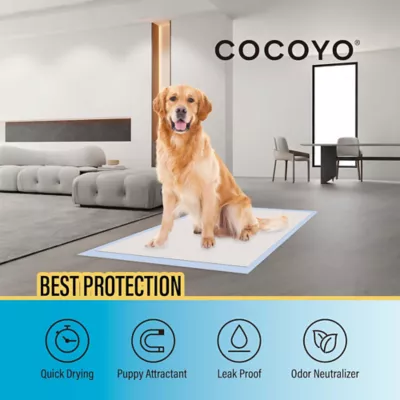 Cocoyo Best Value Training Pads, Leak proof, Quick Drying & Puppy Attractant, Regular- 200 Ct - Image 2
