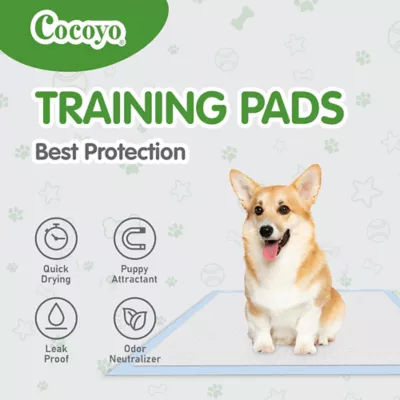 Cocoyo Best Value Dog Training Pads, Super Absorbant & Leak Proof, Unscented, 3XL- 30 Ct - Image 5