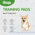 Cocoyo Best Value Dog Training Pads, Super Absorbant & Leak Proof, Unscented, 3XL- 30 Ct image thumbnail 5