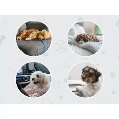 Cocoyo Best Value Dog Training Pads W/ Carbon Technology, Odor Neutralizer- 100 Ct - Image 4