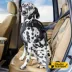 Kong® Crash Tested Ultimate Safety Car Harness W/ Breathable Fabric & Adjustable Strap image thumbnail 2