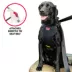 Kong® Crash Tested Ultimate Safety Car Harness W/ Breathable Fabric & Adjustable Strap image thumbnail 4