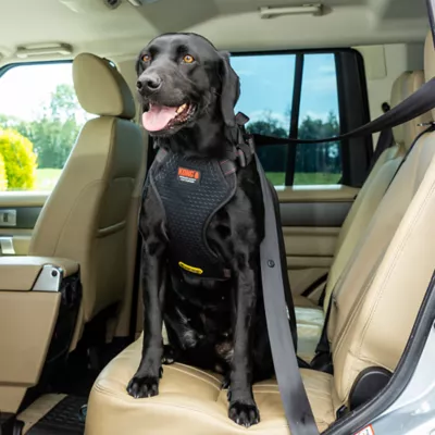 Kong® Crash Tested Ultimate Safety Car Harness W/ Breathable Fabric & Adjustable Strap - Image 6