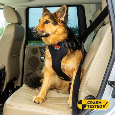 Kong® Crash Tested Ultimate Safety Car Harness W/ Breathable Fabric & Adjustable Strap - Image 2