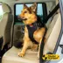 Kong® Crash Tested Ultimate Safety Car Harness W/ Breathable Fabric & Adjustable Strap image thumbnail 2
