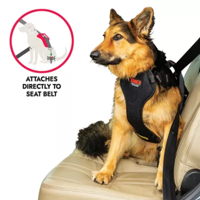 Kong® Crash Tested Ultimate Safety Car Harness W/ Breathable Fabric & Adjustable Strap - Image 4