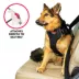 Kong® Crash Tested Ultimate Safety Car Harness W/ Breathable Fabric & Adjustable Strap image thumbnail 4