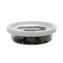 Dubia Roaches Small - 25 Count image thumbnail 2