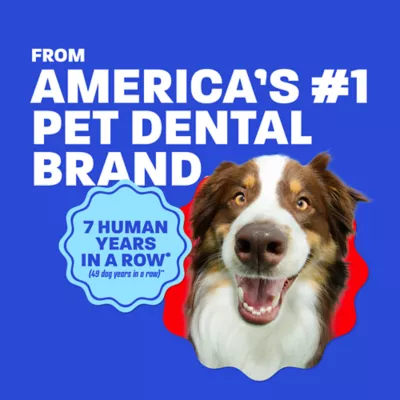 TropiClean HomeVet Cat & Dog Toothpaste Oral Care Kit - Toothpaste, Fingerbrush, & Toothbrush - 2oz - Image 10
