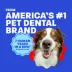 TropiClean HomeVet Cat & Dog Toothpaste Oral Care Kit - Toothpaste, Fingerbrush, & Toothbrush - 2oz image thumbnail 10