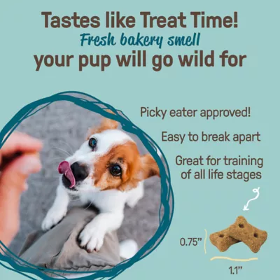 COOKIE PAL Spooky Bones Peanut Butter & Blueberry Flavour Dog Biscuits - Image 5