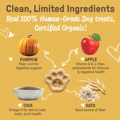 COOKIE PAL Fall Harvest with Apple & Pumpkin Soft Baked Bites Dog Treats - Image 4