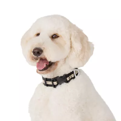 Arcadia Trail® Lightweight Dog Collar, Stripe, Ultra Reflective Material for Nighttime Visibility - Image 2