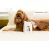 Palmer's for Pets Refreshing Dog Wipes with Cocoa Butter & Vitamin E, 100 ct image thumbnail 4