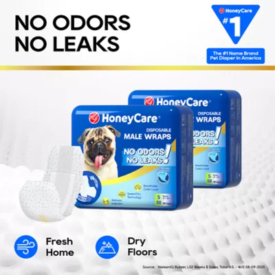 Honey Care All Absorb Disposable Male Dog Wrap W/ Speed Dry Technology - 50 Ct - Image 5