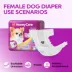 Honey Care All Absorb Disposable Female Dog Diapers W/ Speed Dry Technology , X-Small -50 Ct image thumbnail 6