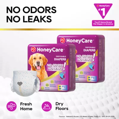 Honey Care All Absorb Disposable Female Dog Diapers W/ Speed Dry Technology, Large- 36 Ct - Image 3
