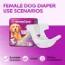 Honey Care All Absorb Disposable Female Dog Diapers W/ Speed Dry Technology, Large- 36 Ct image thumbnail 6