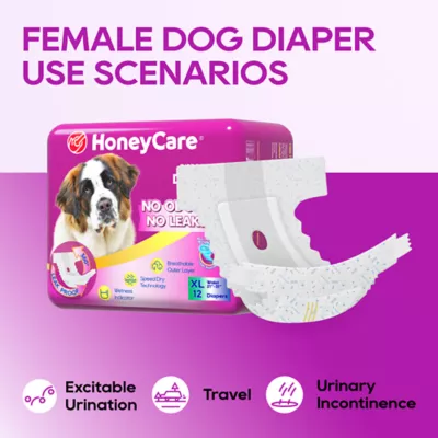 Honey Care All Absorb Disposable Female Dog Diapers W/ Speed Dry Technology, X-Large -12 Ct - Image 6
