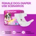 Honey Care All Absorb Disposable Female Dog Diapers W/ Speed Dry Technology, X-Large -12 Ct image thumbnail 6