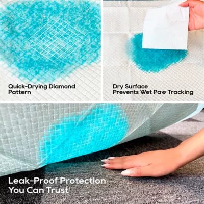 Honey Care Super Absorbant Speed Dry Dog Training Pads W/ Built-In Attractant- 100 Ct - Image 5