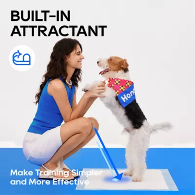 Honey Care Super Absorbant Speed Dry Dog Training Pads W/ Built-In Attractant, X-Large- 40 Ct - Image 8