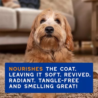 Douxo(R) Skin & Coat Spa Ultra-Safe Detangling Spray For Dogs, Sensitive Formula, Coco-Vanilla Scent - Image 7