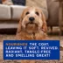 Douxo(R) Skin & Coat Spa Ultra-Safe Detangling Spray For Dogs, Sensitive Formula, Coco-Vanilla Scent image thumbnail 7