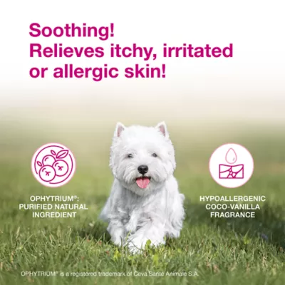 Douxo(R) S3 Calm Mousse For Pets W/ Itchy & Irritated Skin, Hypoallergenic Coco-Vanilla Scent - Image 2