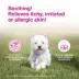 Douxo(R) S3 Calm Mousse For Pets W/ Itchy & Irritated Skin, Hypoallergenic Coco-Vanilla Scent image thumbnail 2