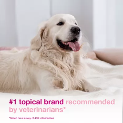 Douxo(R) S3 Calm Mousse For Pets W/ Itchy & Irritated Skin, Hypoallergenic Coco-Vanilla Scent - Image 3