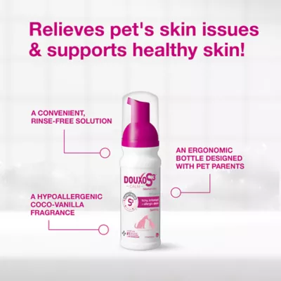 Douxo(R) S3 Calm Mousse For Pets W/ Itchy & Irritated Skin, Hypoallergenic Coco-Vanilla Scent - Image 5