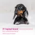 Douxo(R) S3 Calm Shampoo For Pets W/ Itchy & Irritated Skin, Hypoallergenic Coco-Vanilla Scent image thumbnail 3