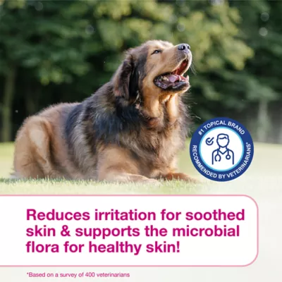 Douxo(R) S3 Calm Shampoo For Pets W/ Itchy & Irritated Skin, Hypoallergenic Coco-Vanilla Scent - Image 7