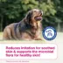 Douxo(R) S3 Calm Shampoo For Pets W/ Itchy & Irritated Skin, Hypoallergenic Coco-Vanilla Scent image thumbnail 7