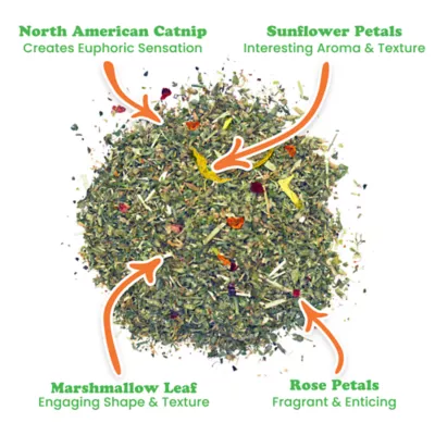 Meowijuana Cloud 9 Catnip Blend Promotes Play and Cat Health - Image 3