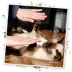 Meowijuana Cloud 9 Catnip Blend Promotes Play and Cat Health image thumbnail 5