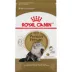 Royal Canin® Dry Cat Food, Feline Breed Nutrition Persian Adult 15lb image thumbnail 1