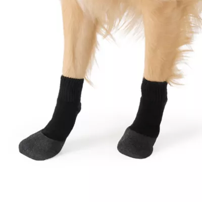 Arcadia Trail® Coated Dog Socks, Multiple Colors & Sizes, Black/Burgundy, XS-XXL - Image 2