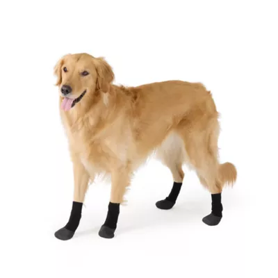 Arcadia Trail® Coated Dog Socks, Multiple Colors & Sizes, Black/Burgundy, XS-XXL - Image 1