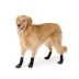 Arcadia Trail® Coated Dog Socks, Multiple Colors & Sizes, Black/Burgundy, XS-XXL image thumbnail 1