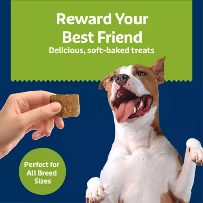 Blue Buffalo Soft & Chewy Health Bars, Adult Dog Treats Baked with Real Chicken & Apples, 9 oz - Image 4