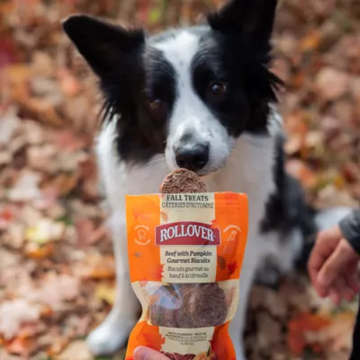 Rollover Beef with Pumpkin Gourmet Dog Biscuits - Image 3