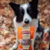 Rollover Beef with Pumpkin Gourmet Dog Biscuits image thumbnail 3