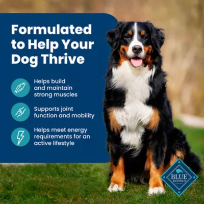 Blue Buffalo® Life Protection Formula™ Adult Dry Dog Food - Fish & Brown Rice - Image 4