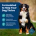 Blue Buffalo® Life Protection Formula™ Adult Dry Dog Food - Fish & Brown Rice image thumbnail 4