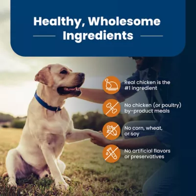 Blue Buffalo® Life Protection Formula Large Breed Senior 7+ Dry Dog Food - Chicken & Brown Rice - Image 6