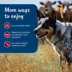 Blue Buffalo Blue's Stew Variety Pack Adult Dog Wet Food - Chicken & Beef, 12.5 oz image thumbnail 6