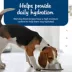 Blue Buffalo Blue's Stew Variety Pack Adult Dog Wet Food - Chicken & Beef, 12.5 oz image thumbnail 7